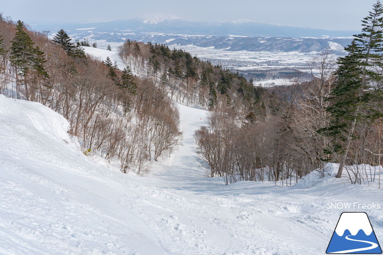 富良野スキー場｜2022-2023シーズンの『北の峰ゾーン』の営業は、3月21日（火・祝）まで。心ゆくまでロング滑走を楽しみましょう♪